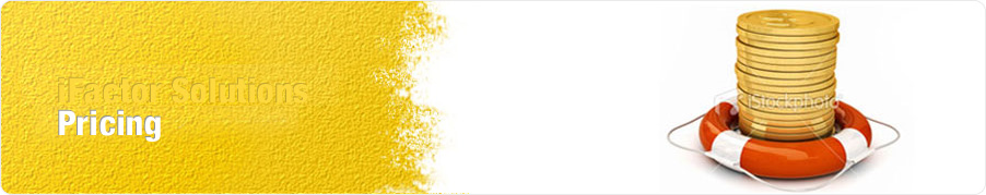 iFactor Solutions excellence in PHP : Total website development and software company-India